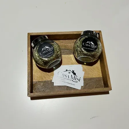 Casa Misi *