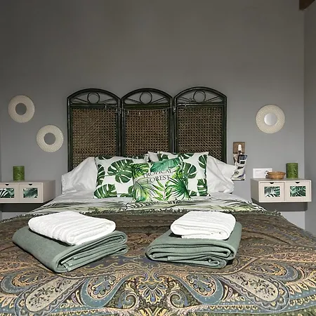 Casa Misi * Candeleda